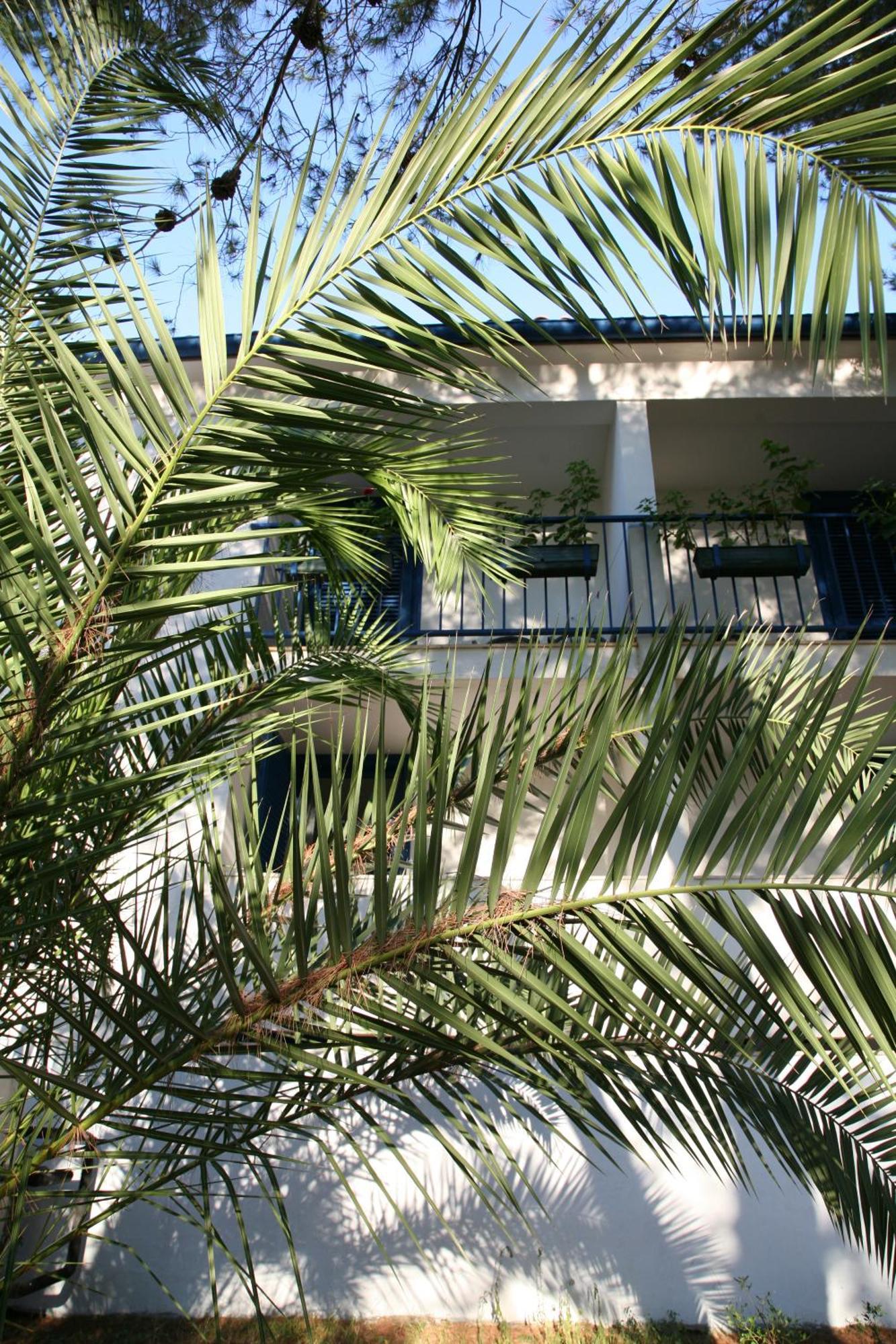 Hotel סאלי מראה חיצוני תמונה