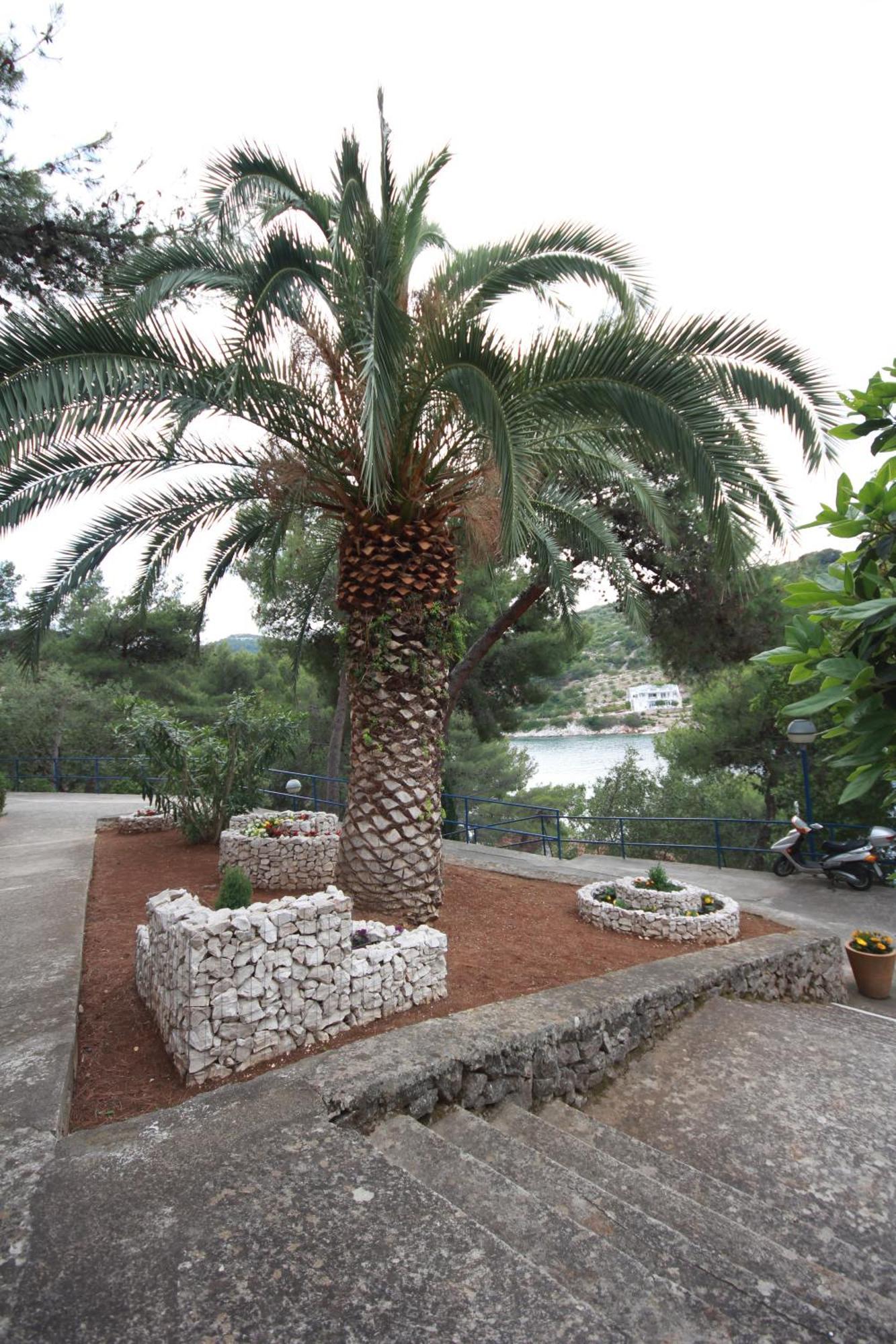Hotel סאלי מראה חיצוני תמונה